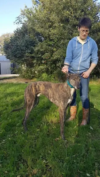 22563884 1453557371394853 781373376 o