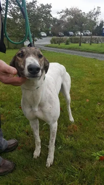 22563889 1454395864644337 547986578 o