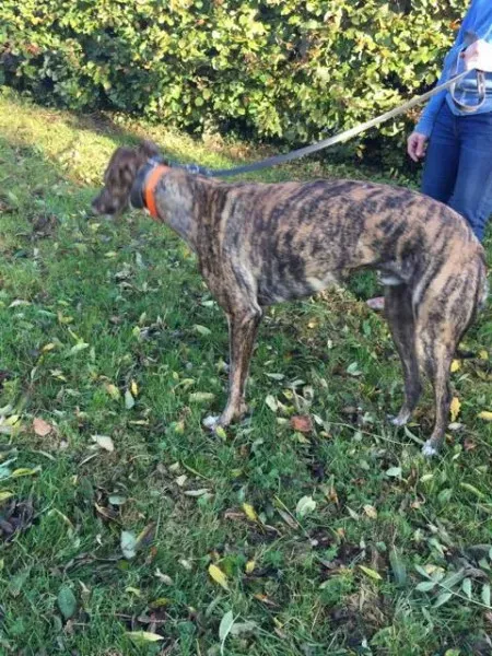 22627809 10154730484210194 1372669114 n