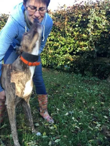 22635193 10154730486560194 414723261 n