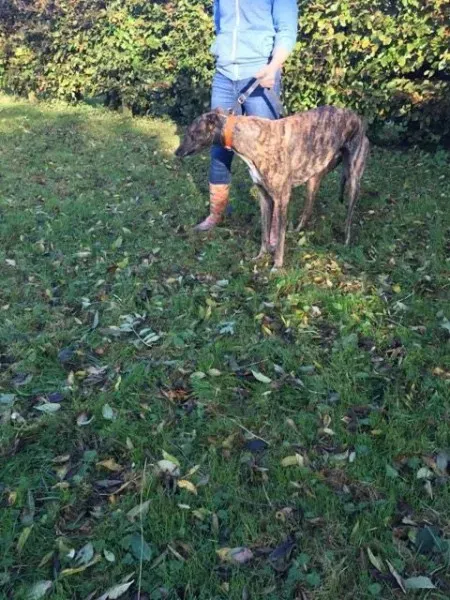 22635248 10154730449990194 1410663778 n