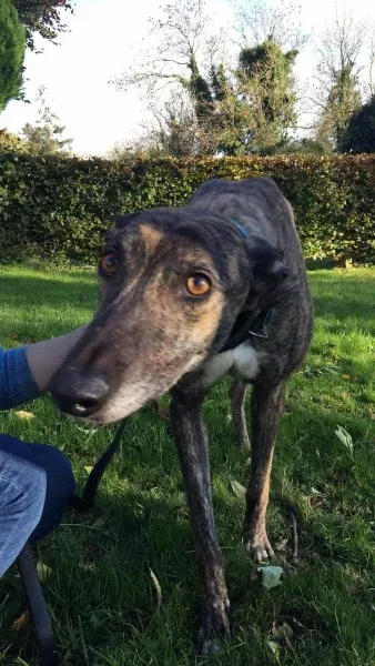 22641598 10154728565380194 235156399 o