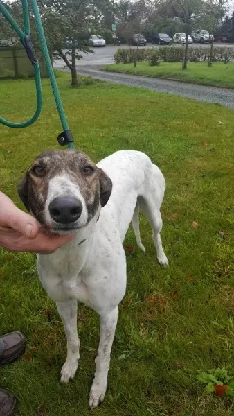 22641650 1454396354644288 1496351907 o