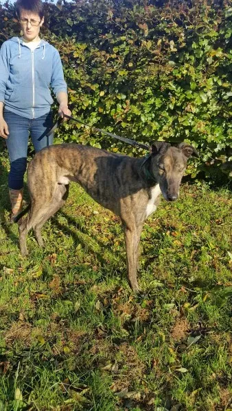 22641654 1453557444728179 634198990 o