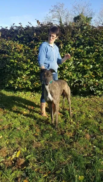 22641679 1453559291394661 1451201449 o