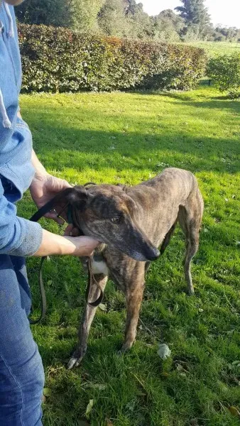 22641880 1453556904728233 1922412899 o