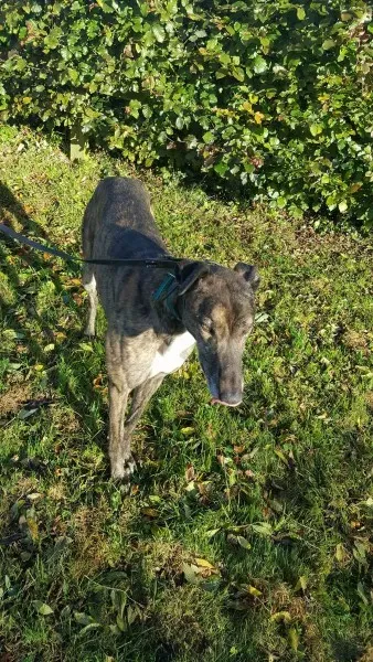 22641900 1453558158061441 1352698208 o