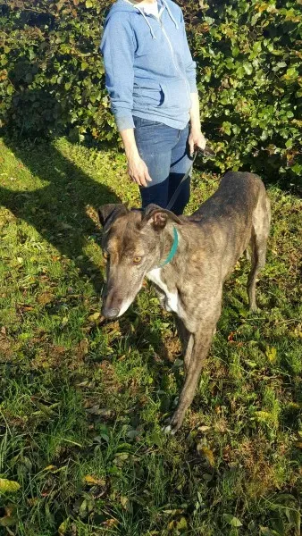 22641920 1453558908061366 1005330713 o