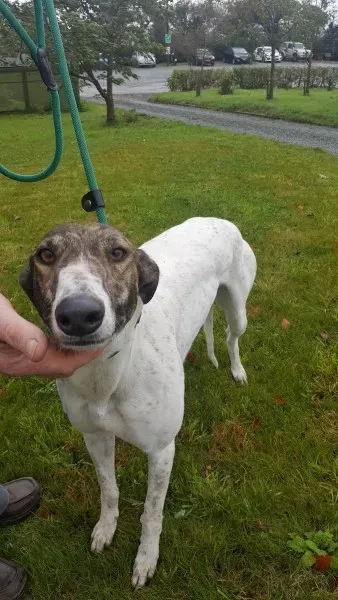 22641924 1454395947977662 2140965752 o