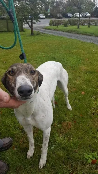 22641941 1454396294644294 1816920364 o