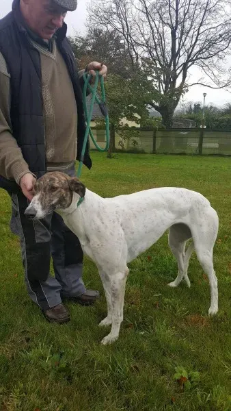 22641990 1454396437977613 175397907 o