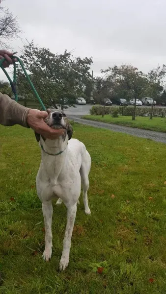 22642006 1454395784644345 413792384 o