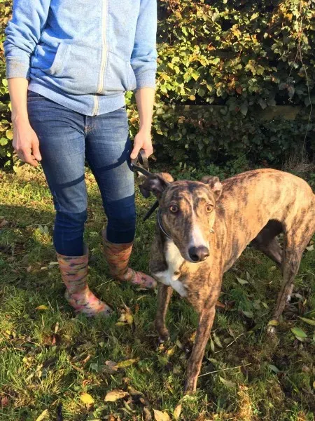 22642009 10154732497390194 605429827 o