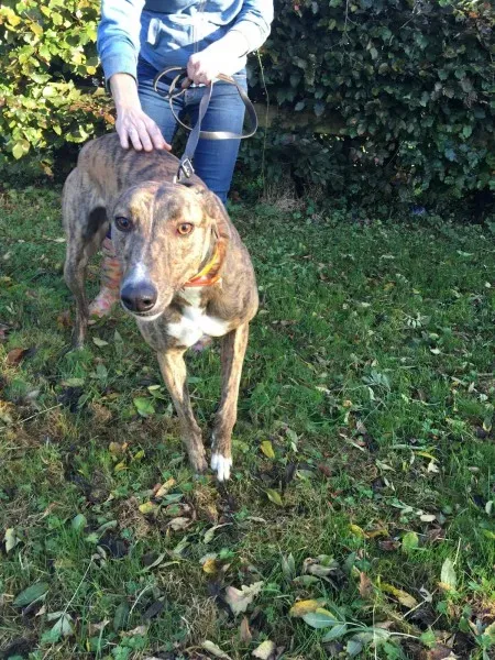 22642020 10154730482110194 117699487 o