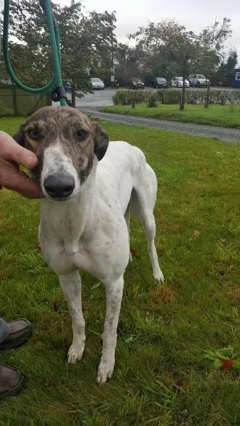 22642023 1454396301310960 595896863 o