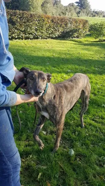 22642041 1453556878061569 165059313 o