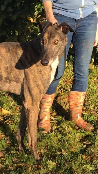 22642924 10154728695300194 1547118949 o