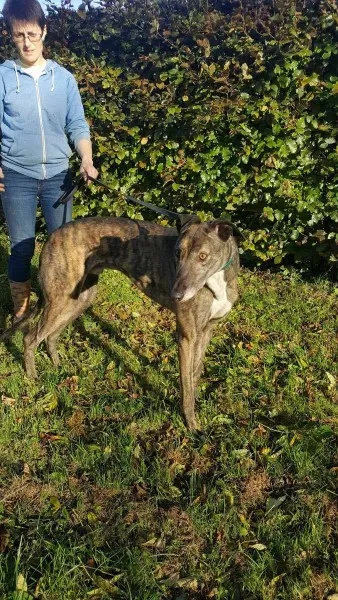 22642927 1453529391397651 533941526 o