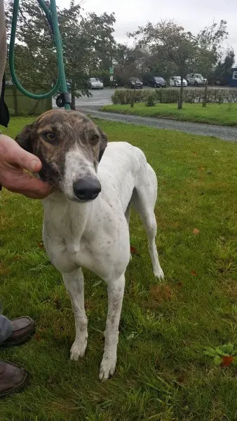 22643041 1454395891311001 1498989538 o