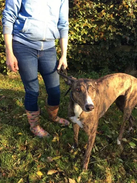 22643050 10154732497400194 79869882 o