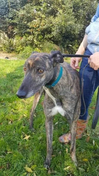 22643088 1453558681394722 165317107 o