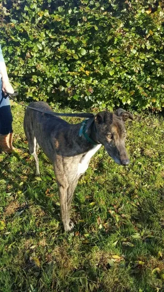 22643106 1453558858061371 219393366 o