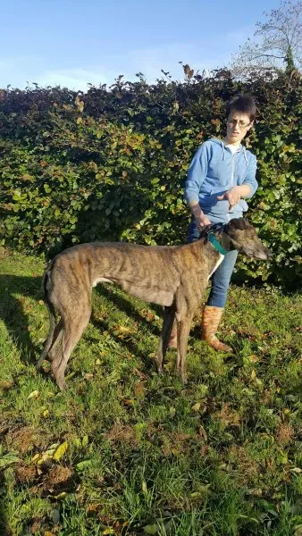 22643113 1453559098061347 213502283 o