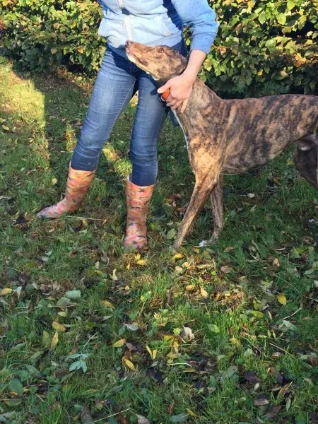 22643125 10154730436805194 2110329691 o