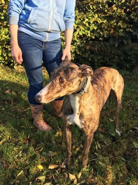 22643144 10154730643400194 1877917343 o