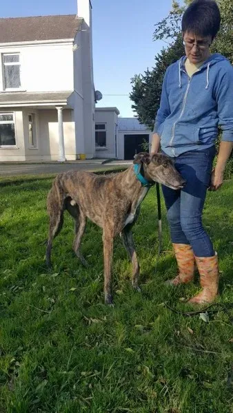 22656270 1453545798062677 194340277 n