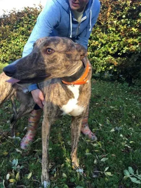 22656323 10154730500945194 930315424 n