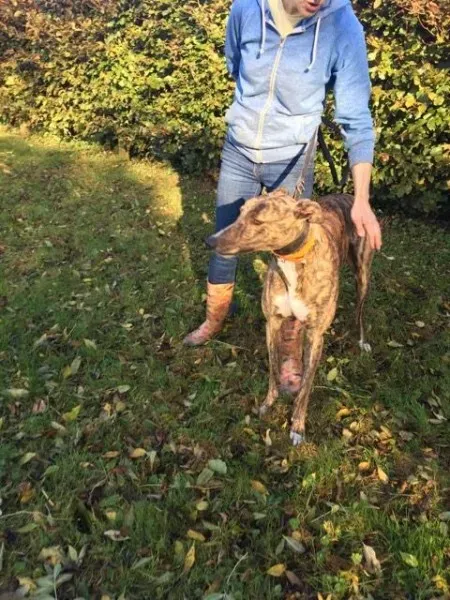 22657126 10154730459085194 1079003163 n