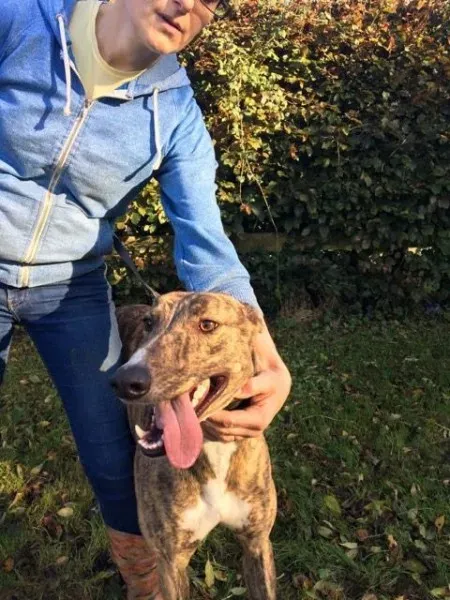 22657356 10154730468180194 57450375 n