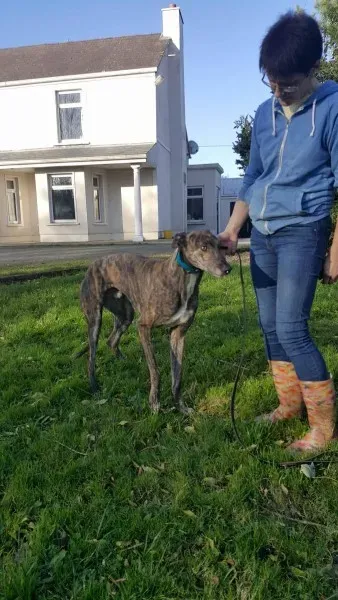 22662364 1453557348061522 1901963630 o