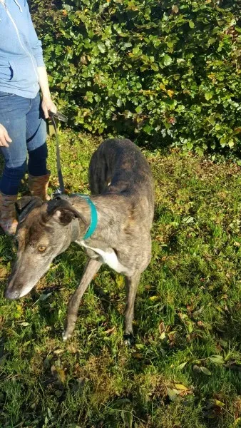 22662378 1453558921394698 1313687979 o