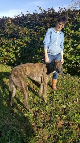 22662421 1453558554728068 744668318 o