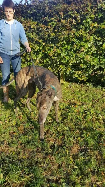 22662577 1453557431394847 1092594652 o