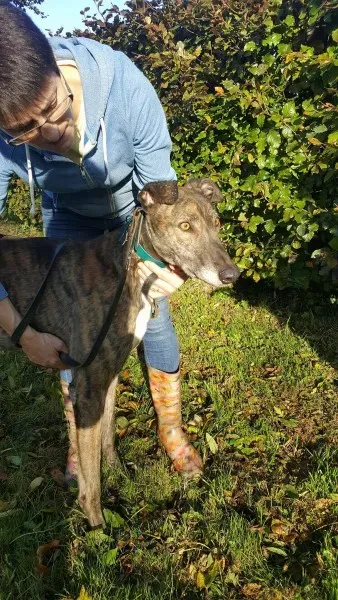 22662616 1453557904728133 1060086687 o