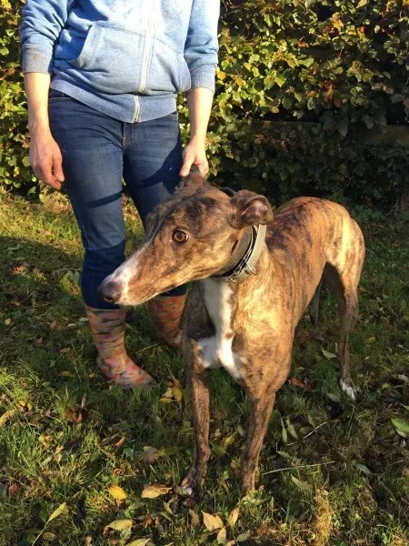 22664054 10154730866230194 1663813053 o