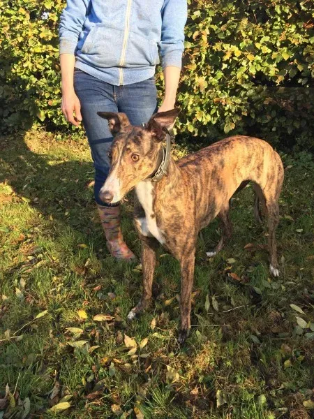 22664119 10154732497420194 2066022938 o