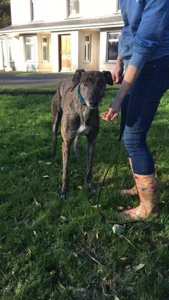 22664275 10154728552840194 419802252 o