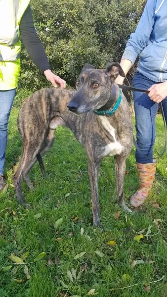 22664292 1453558788061378 996993399 o