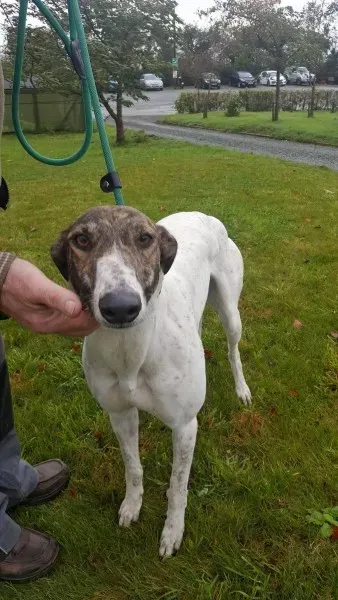 22664334 1454396151310975 834053184 o