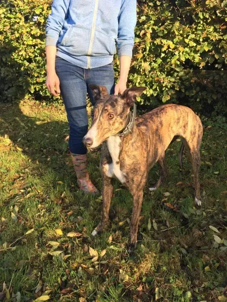 22664338 10154732497410194 655527208 o