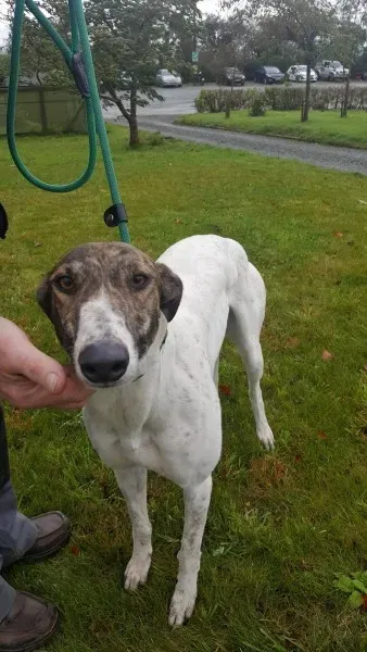 22664359 1454396267977630 1549666200 o