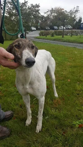 22664438 1454395854644338 2075448990 o