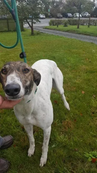 22664438 1454395887977668 2004730758 o