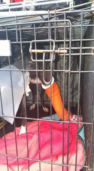 22688426 1887079644643059 1481738135887649630 n 1