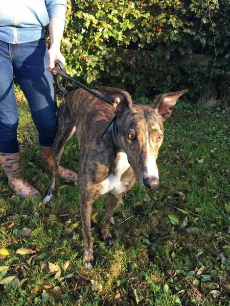 22689983 10154730563715194 17516237 o