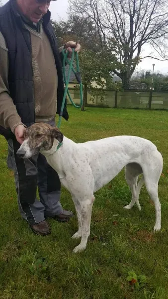 22690125 1454395904644333 1789009728 o